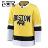 Boston Bruins Fanatics NHL Stadium Series Premium Custom 2025-26 Gold Trikot - Kinder